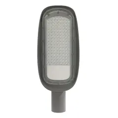 Pelsan Berlin 100W 5000K IP65 Yol ve Cadde Armatürü - 113623