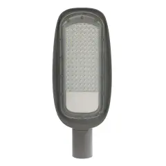 Pelsan Berlin 80W 5000K IP65 Yol ve Cadde Armatürü - 114994