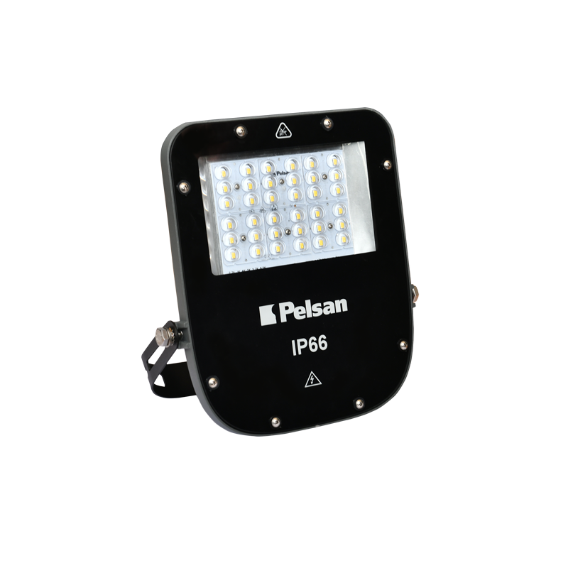 Pelsan Ria Med 100W 6500K IP66 Led Projektör - 111660